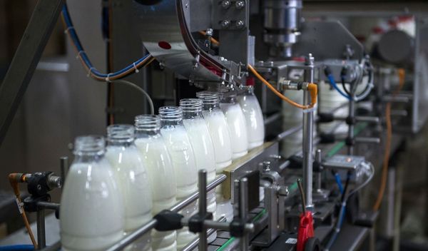 Компании «Евромол» из Раменского предоставлен участок для импортозамещения за 1 рубль.