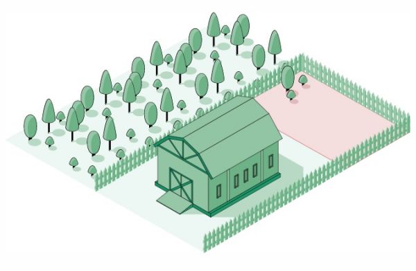 Онлайн-сервис «Смежник» поможет избежать лесных пожаров.