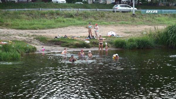 В Подмосковье пришло долгожданное лето, а вместе с тем и аномальная жара.