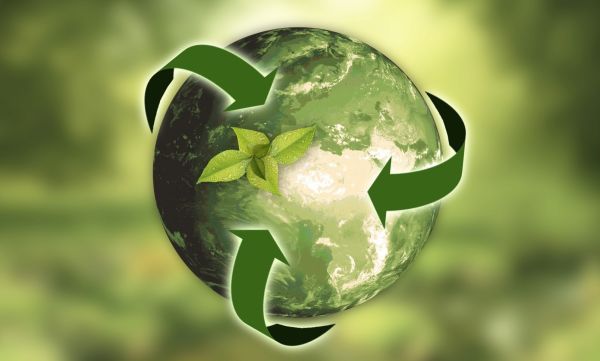 Минэкологии потребовало прекратить загрязнение раменских земель сточными водами