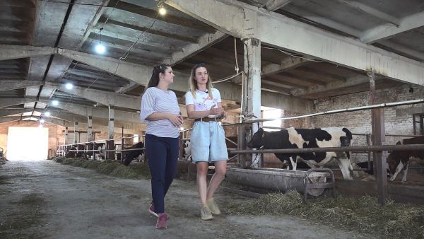 Анна Матюшкина и ее сыры от «Веселой коровы» готовятся к поездке в Истру.