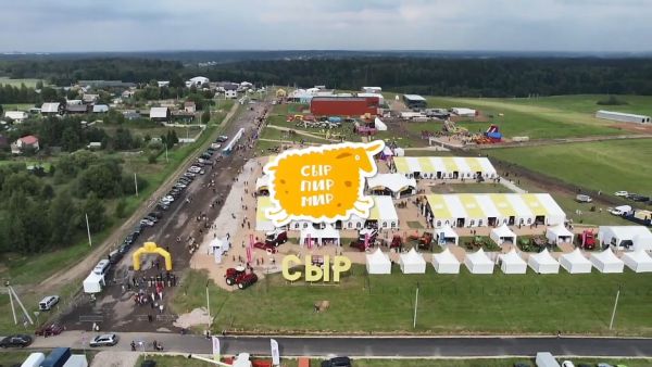 В Истре стартовал гастрономический фестиваль «Сыр!Пир!Мир!».