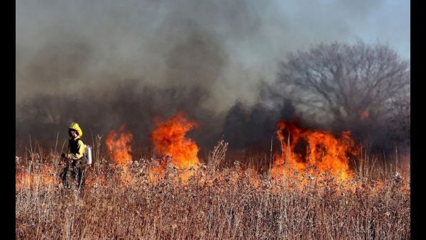 Противопожарный режим на территории Подмосковья