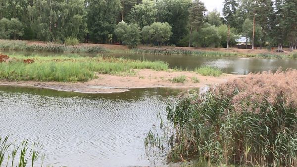 Объем работ по очистке Быковского пруда оценила комиссия.