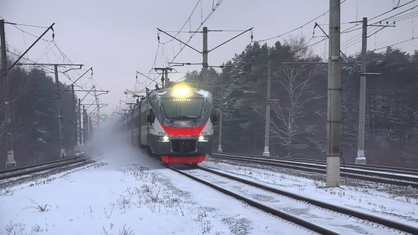 24 ноября состоялся профилактический рейд на станции Кратово.