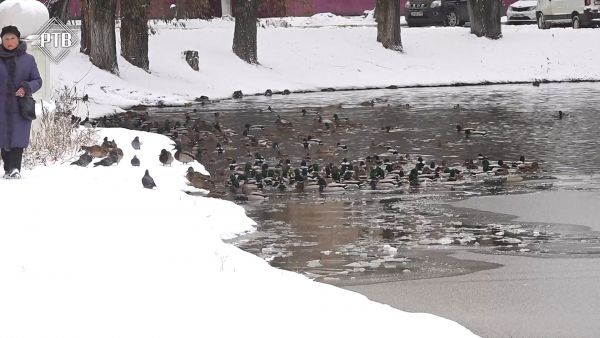 Тонкий лёд и его опасности.