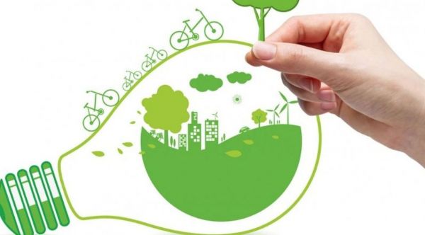 На территории Московской области стартует новый проект в поддержку охраны окружающей среды.