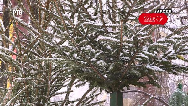 В Раменском городском округе работают ярмарки.