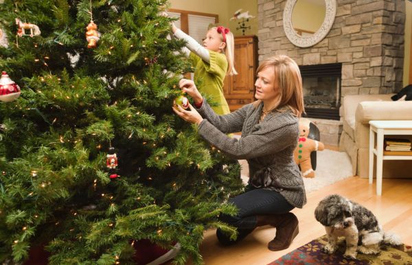 Приближаются Новый год и Рождество – самые любимые и долгожданные праздники.
