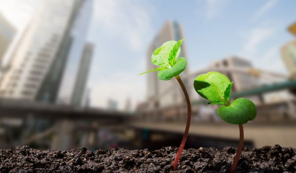 «Грунт Эко» в Раменском округе улучшил систему компостирования и установил систему подавления запахов «мокрый барьер».