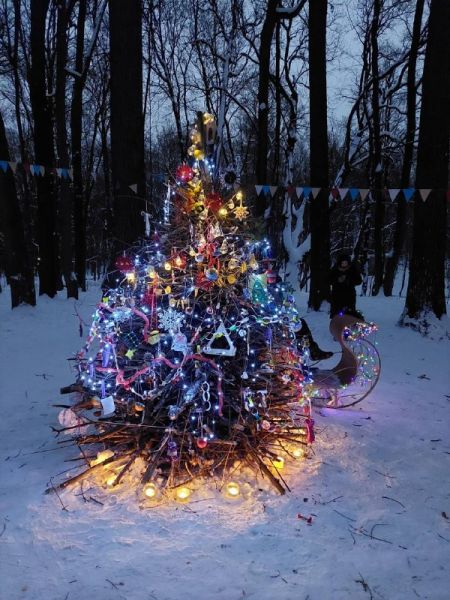 Волонтерский проект @savebykovo приглашает желающих с ними познакомится на новогоднюю ёлку в Усадьбу Быково.