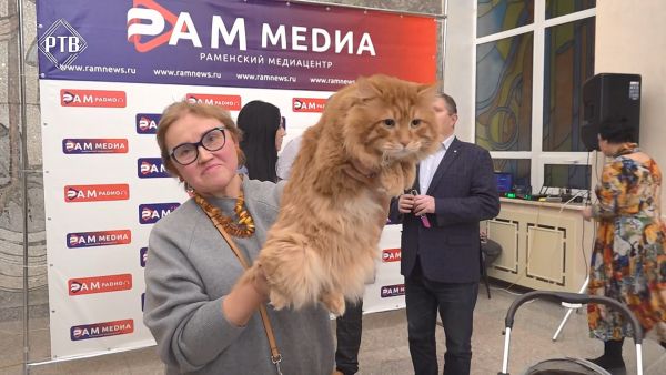 Фойе ДК «Сатурн» 27 января. 162 календаря с участниками конкурса «Раменский символ года».