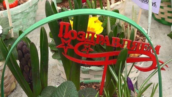 Цветов много не бывает.Островецкий питомник ИП Харченко.