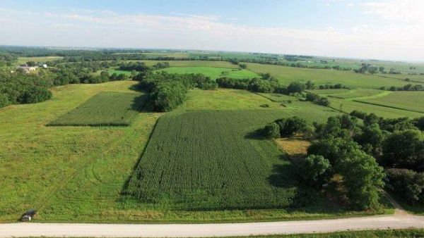 Жители Раменского городского округа могут рассчитать стоимость «прирезки» с помощью нового чат-бота
