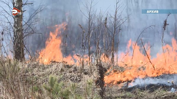 Пал сухой травы опасен!