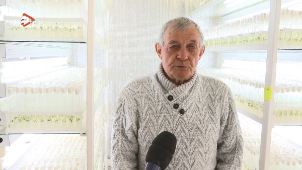 Владимир Николаевич Акатьев, председатель СПК «Агрофирма «Элитный картофель».