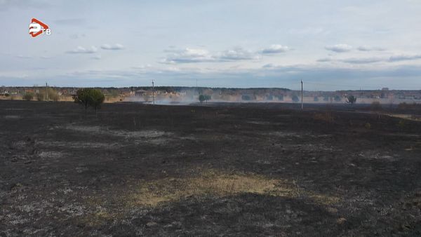 С 28 апреля на территории МО установлен особый противопожарный режим.