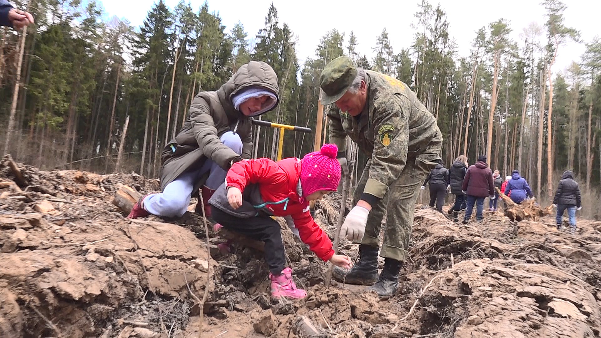  Напоминаем Вам о том, что 13 мая в Раменском городском округе пройдет эколого-патриотическая акция «Лес Победы».