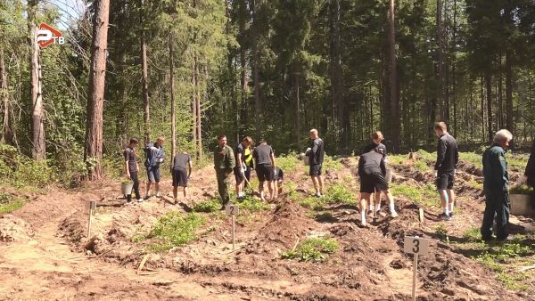 В Раменском городском округе прошла традиционная акция «Лес Победы».
