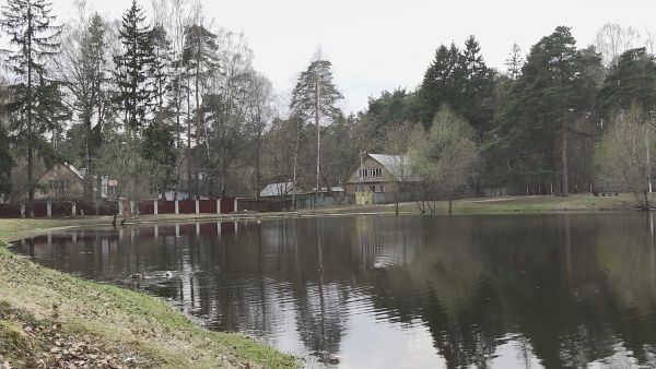Голосование за благоустройство.