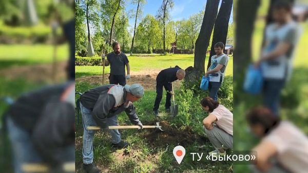«Лес Победы»-2023 Раменский округ