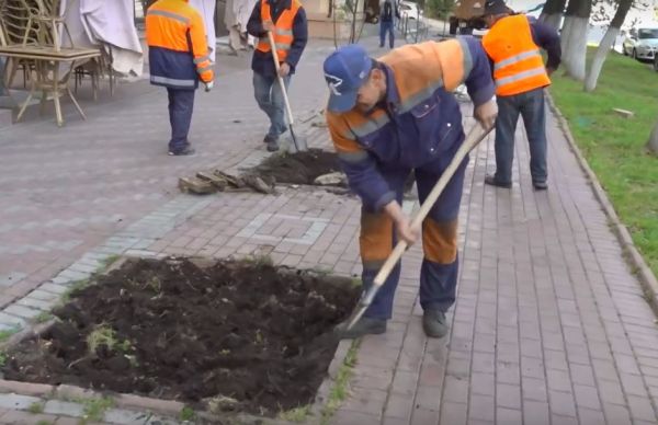Деревья высадили на улице Карла Маркса в Раменском