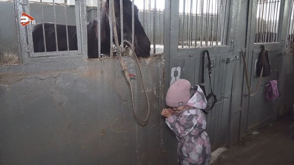 На Раменском ипподроме состоялась экскурсия для ребят из семей мобилизованных на СВО.