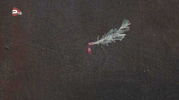 Новая выставка представлена в фойе центральной библиотеки.