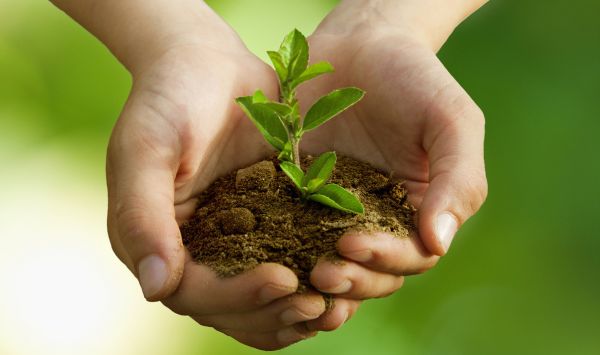 Сохраним наш округ чистым вместе!