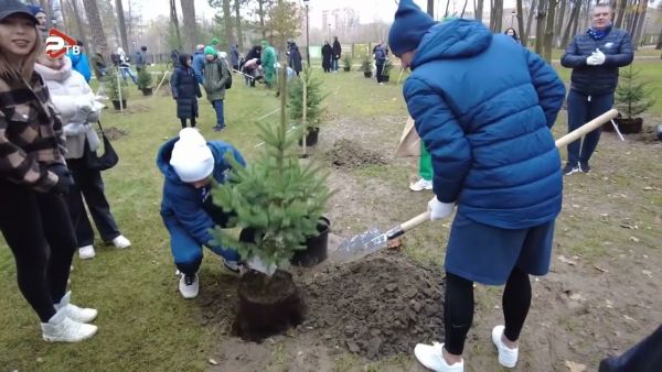 ФК «Леон Сатурн» вместе с болельщиками высадили аллею в Раменском городском парке.
