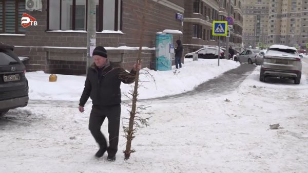 Ежегодная эко‑акция «Подари своей ёлке вторую жизнь».