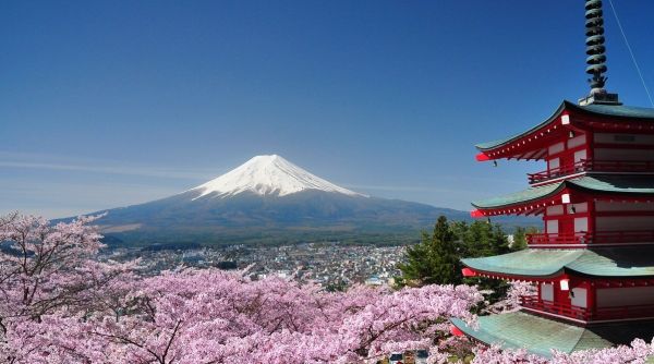 Жители Раменского могут погрузиться в культуру Японии и узнать тайны театра Кабуки на новой выставке.