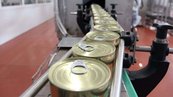 Предприятие по проекту импортозамещения появится в Раменском округе