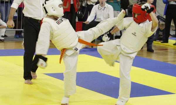 Открытое первенство Раменского городского округа по киокусинкай каратэ-до