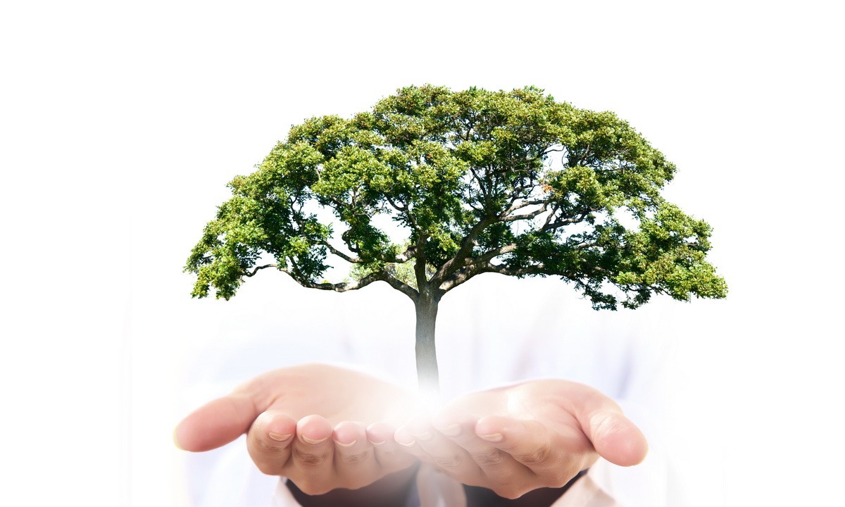 Эколого-патриотическая акция «Сдай макулатуру — вырасти дерево»