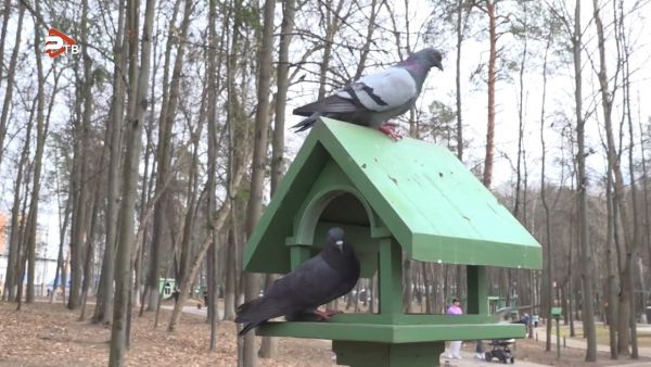 Двенадцатый интернет-конкурс скворечников