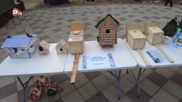 На территории Раменского парка прошел областной праздник «День птиц».