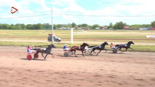 На Раменском ипподроме 8 июня состоялись бега в честь Дня России.