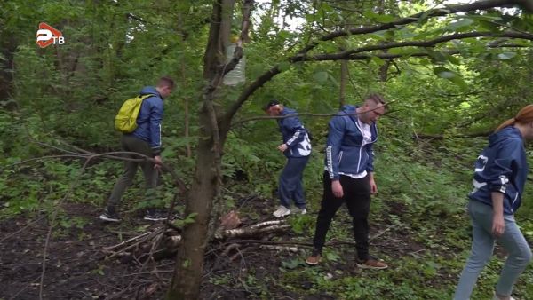 Сохранение леса – одна  из самых актуальных тем для России в целом и для раменчан.