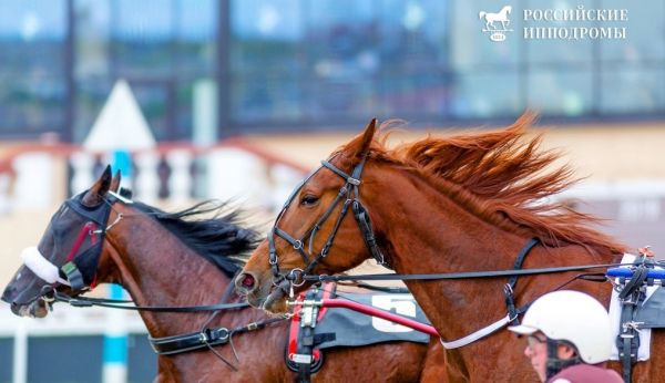 20 июля на Раменском ипподроме состоится традиционное мероприятие – Праздник орловского коннозаводства 