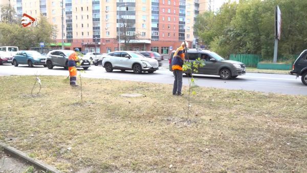 Сотрудники МБУ «Содержание и благоустройство» ежедневно трудятся на улицах и дворовых территориях Раменского