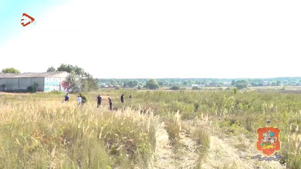 В Раменском полицейские уничтожили более 700 килограммов дикорастущей конопли