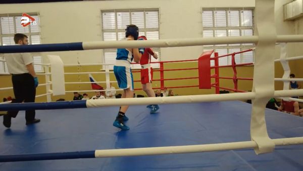 Живу спортом | Бокс