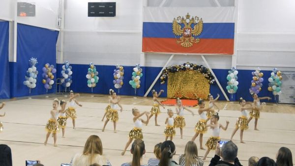 Живу спортом | Гимнастика