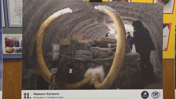 В Раменском дорожно-строительном техникуме открыта выставка «Хатанга. Наследие»