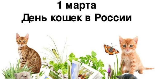 1 марта — День кошки в России