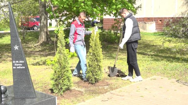 Новые саженцы появились в поселке совхоза «Раменское»