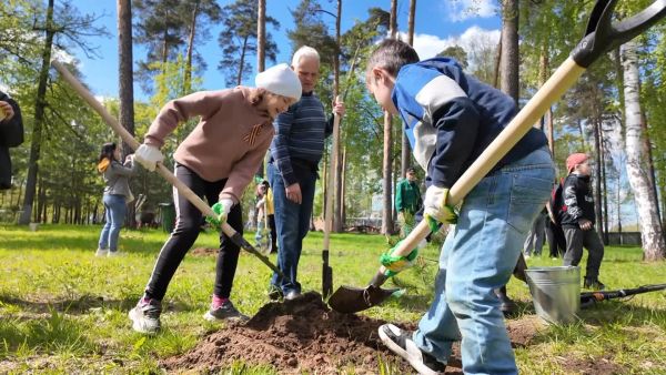 10 деревьев, символизирующих память и единство поколений, высадили в Раменском городском парке 6 мая