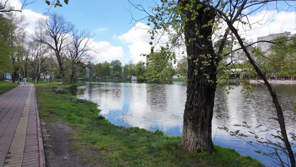 Продолжается онлайн-голосование по выбору общественных территорий для благоустройства в 2026 году
