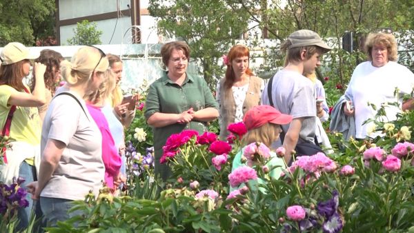 Пионовый Рай Аристарховой Любови